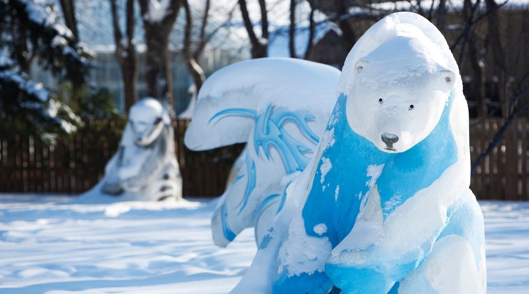 Why we love Winnipeg……even if it is cold